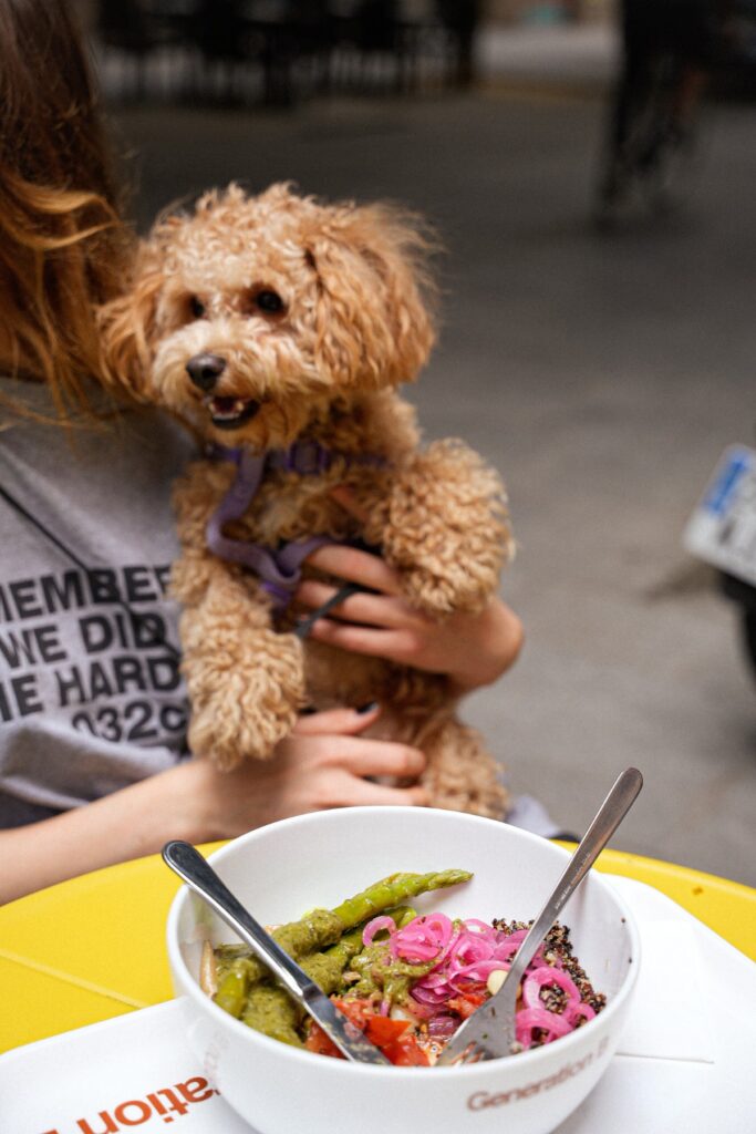 restaurantes dog friendly barelona